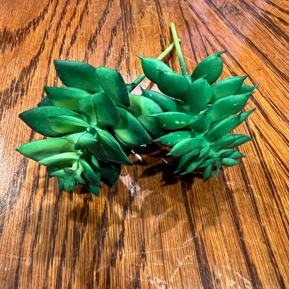 Faux Succulents - Green 16 pcs - Picture 11 of 16